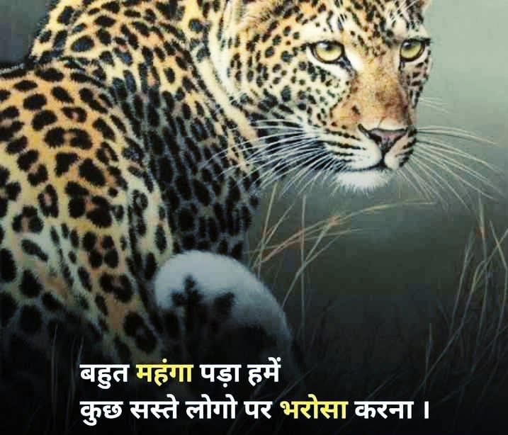 Attitude DP In Hindi