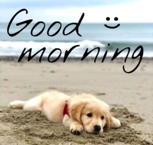 Good Morning Images
