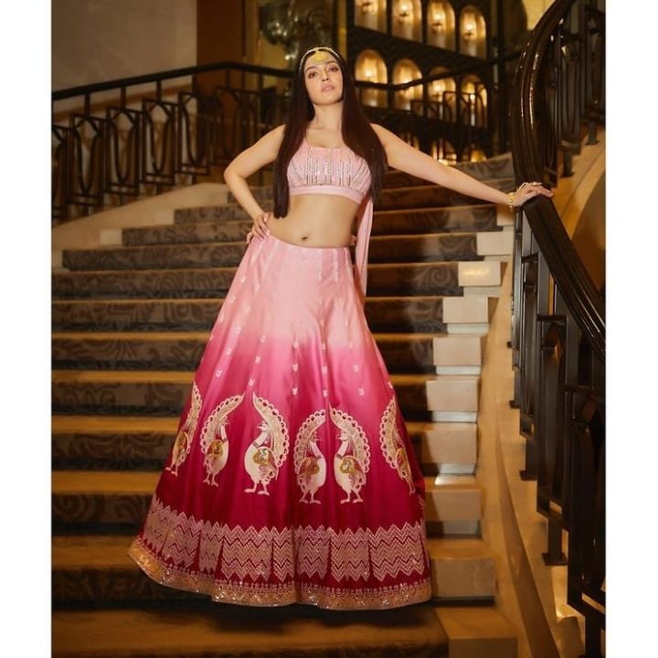 Lehenga Images